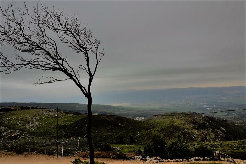 Si-Har Chalets Nimrod Bagian luar foto