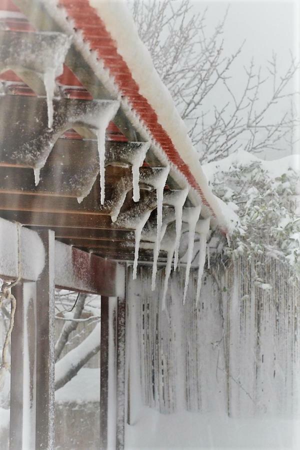 Si-Har Chalets Nimrod Bagian luar foto