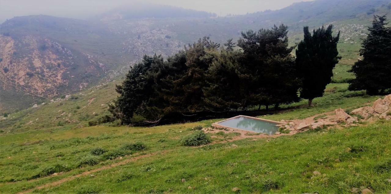 Si-Har Chalets Nimrod Bagian luar foto