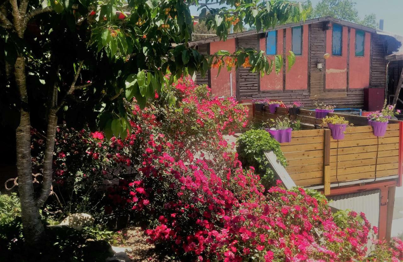 Si-Har Chalets Nimrod Bagian luar foto