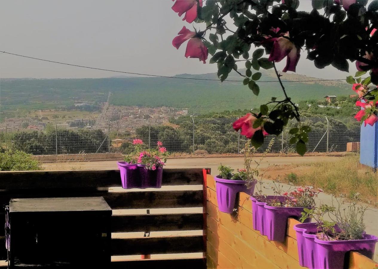 Si-Har Chalets Nimrod Bagian luar foto
